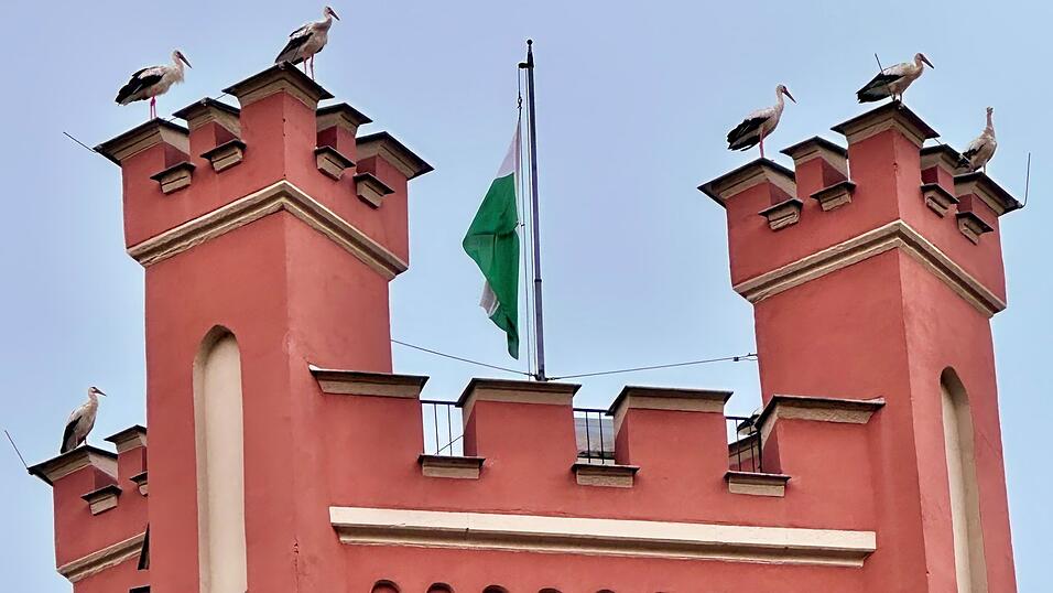 Parkplatz Stadtturm: Mehrere St&ouml;rche legten auf den Zinnen des Further Wahrzeichens eine Rast ein.