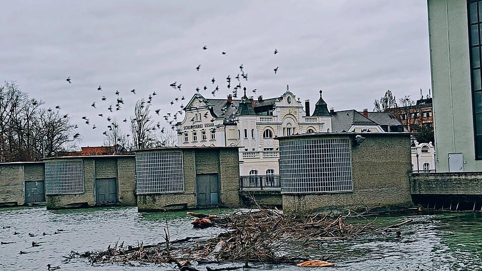 Die Naturgewalten Wasser und Luft werden sich in Bayern wieder bemerkbar machen. Die Lage in Landshut, wie hier am Maxwehr, soll verh&auml;ltnism&auml;&szlig;ig entspannt bleiben. Meldestufen werden aber erwartet, noch vor den Feiertagen wird das Wasserwirtschaftsamt eine Warnmeldung herausgeben.