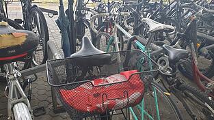 Schrottr&auml;der, die einfach stehen gelassen werden, geh&ouml;ren in Regensburg zum Stadtbild. J&uuml;ngst wurden 265 R&auml;der im Stadtgebiet entfernt.