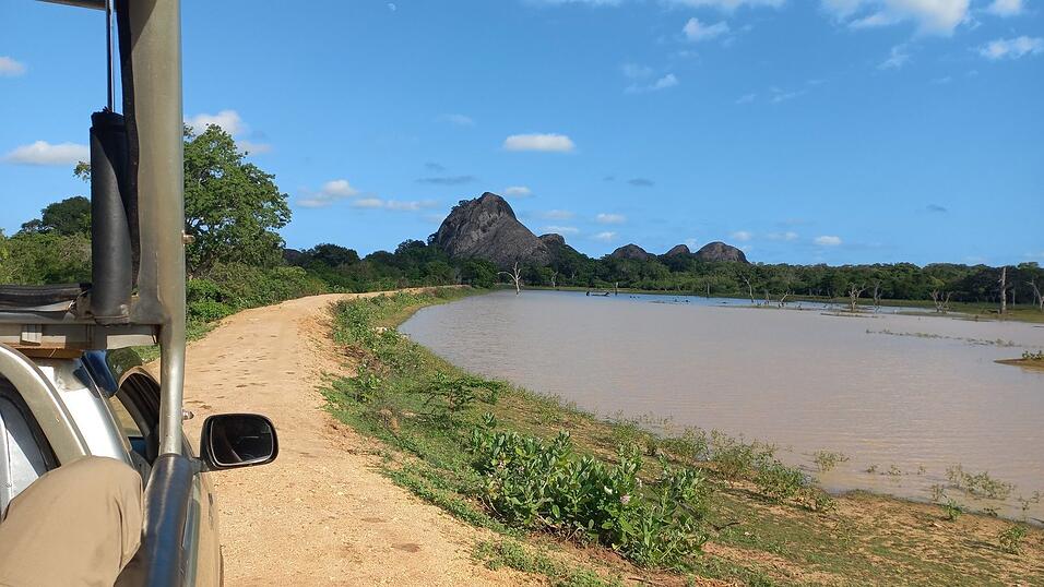 Fotos von Katis Safari im Yala-Nationalpark. Dabei sah die Weltreisende viele wilde Tiere, war aber von vielen anderen Fahrzeugen umgeben.
