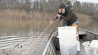 Die Netze liegen meist &uuml;ber Nacht im Fluss und werden aufgespannt, sodass die Fische darin h&auml;ngen bleiben.