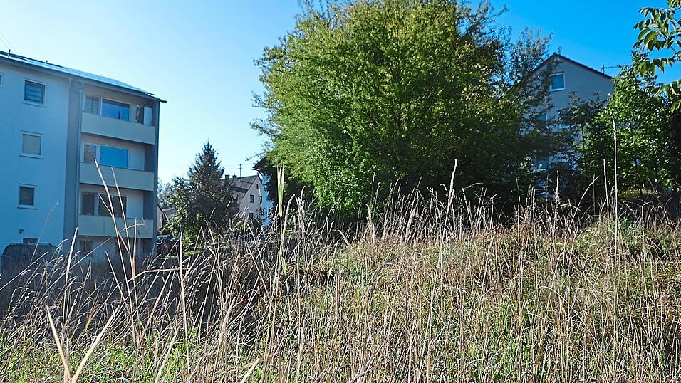 So wie hier an der Veteranenstraße, Ecke Flurweg, hat sich die Natur das Areal wieder zurückgeholt. Die Fläche ist aber nach wie vor bebaubar, wenngleich der in die Jahre gekommene Bebauungsplan einen Lückenschluss schwierig macht. Das will man im Rathaus jetzt ändern. So wie hier an der Veteranenstraße, Ecke Flurweg, hat sich die Natur das Areal wieder zurückgeholt. Die Fläche ist aber nach wie vor bebaubar, wenngleich der in die Jahre gekommene Bebauungsplan einen Lückenschluss schwierig macht. Das will man im Rathaus jetzt ändern.