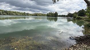 Auch im Liebl-See Nord sind Cyanobakterien nachgewiesen worden. Auch im Liebl-See Nord sind Cyanobakterien nachgewiesen worden.
