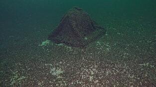 Die Kugel war auf den ersten Blick nicht zu erkennen.