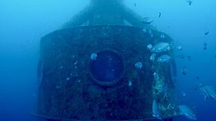 Koch drehte auch Videos von Fischen aus seiner Kapsel.