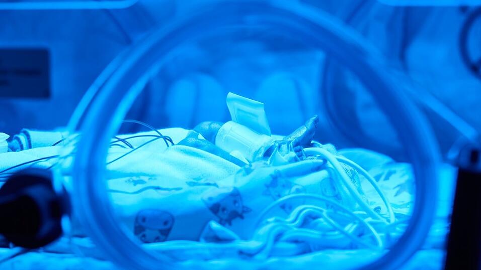 Zwei Jahre wird das Projekt in Nürnberg getestet, dann könnte die KI bayernweit eingesetzt werden. (Symbolbild) Zwei Jahre wird das Projekt in Nürnberg getestet, dann könnte die KI bayernweit eingesetzt werden. (Symbolbild)