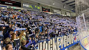 Die Zuschauer strecken im ausverkauften Eisstadion nach einem Tor stolz ihre Tigers-Schals in die H&ouml;he.