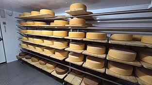 So sieht der K&auml;se aus, wenn er in den R&auml;umen von Staudacher lagert. Der Lagerraum war einmal ein Kuhstall, den Staudacher zusammen mit Freunden umgebaut hat.