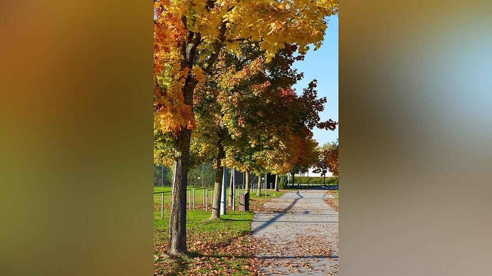 Das Motiv für Oktober von Ewelina Richter.