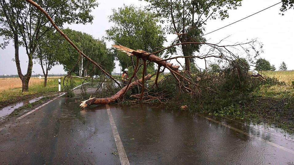 Ein Feuerwehrmann befreit bei Ludwigslust-Parchim eine Straße nach einem Gewitter von einem herabgefallenen Ast. Ein Feuerwehrmann befreit bei Ludwigslust-Parchim eine Straße nach einem Gewitter von einem herabgefallenen Ast.