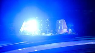 Die Polizei ordnete das Pkw-Kennzeichen zu. (Symbolbild)