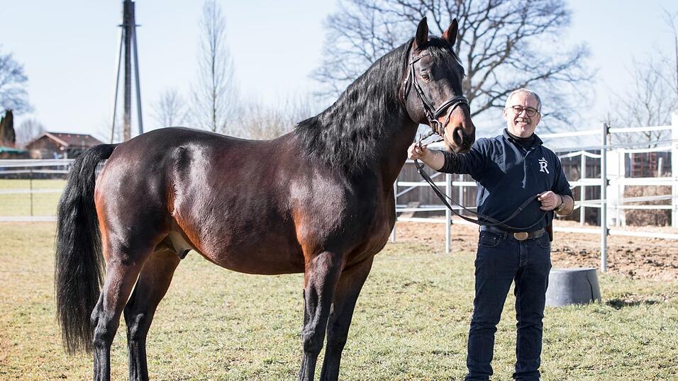 Kämpft dafür, dass die bedrohte Pferderasse nicht ausstirbt: Bernhard Kräß aus Windischeschenbach mit einem Rottaler Pferd - dem Hengst Lucanus. Gezüchtet wurde er von Lore und Reiner Narres. Kämpft dafür, dass die bedrohte Pferderasse nicht ausstirbt: Bernhard Kräß aus Windischeschenbach mit einem Rottaler Pferd - dem Hengst Lucanus. Gezüchtet wurde er von Lore und Reiner Narres.