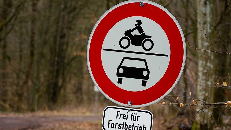 Um ins Tal zu gelangen, nutzt der Mann eine Forststra&szlig;e. (Symbolbild)