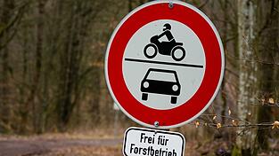 Um ins Tal zu gelangen, nutzt der Mann eine Forststraße. (Symbolbild) Um ins Tal zu gelangen, nutzt der Mann eine Forststraße. (Symbolbild)