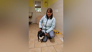 Tierheimleiterin Stefanie Temme in einem der Katzenzimmer des Tierheims. Ein Stubentiger holt sich gleich Streicheleinheiten. Tierheimleiterin Stefanie Temme in einem der Katzenzimmer des Tierheims. Ein Stubentiger holt sich gleich Streicheleinheiten.
