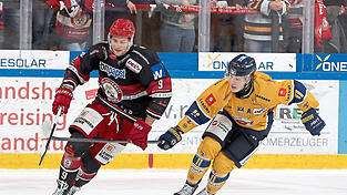 Weiter Gas geben: Nur wenn das klappt, ist laut EVL-Cheftrainer Uwe Krupp für sein Team um Leistungsträger Tobias Lindberg (links) am Wochenende wieder Zählbares drin: „Wer in dieser Liga in einem Spiel nicht 100 Prozent abruft, der wird verlieren“, ist er sich sicher. Weiter Gas geben: Nur wenn das klappt, ist laut EVL-Cheftrainer Uwe Krupp für sein Team um Leistungsträger Tobias Lindberg (links) am Wochenende wieder Zählbares drin: „Wer in dieser Liga in einem Spiel nicht 100 Prozent abruft, der wird verlieren“, ist er sich sicher.