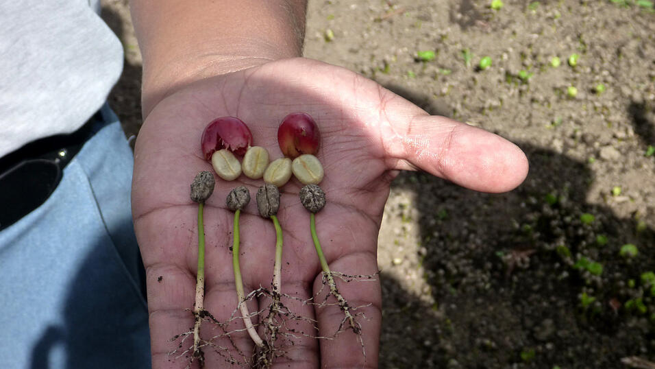Landaufenthalt in Panama, Januar 2010 Landaufenthalt in Panama, Januar 2010