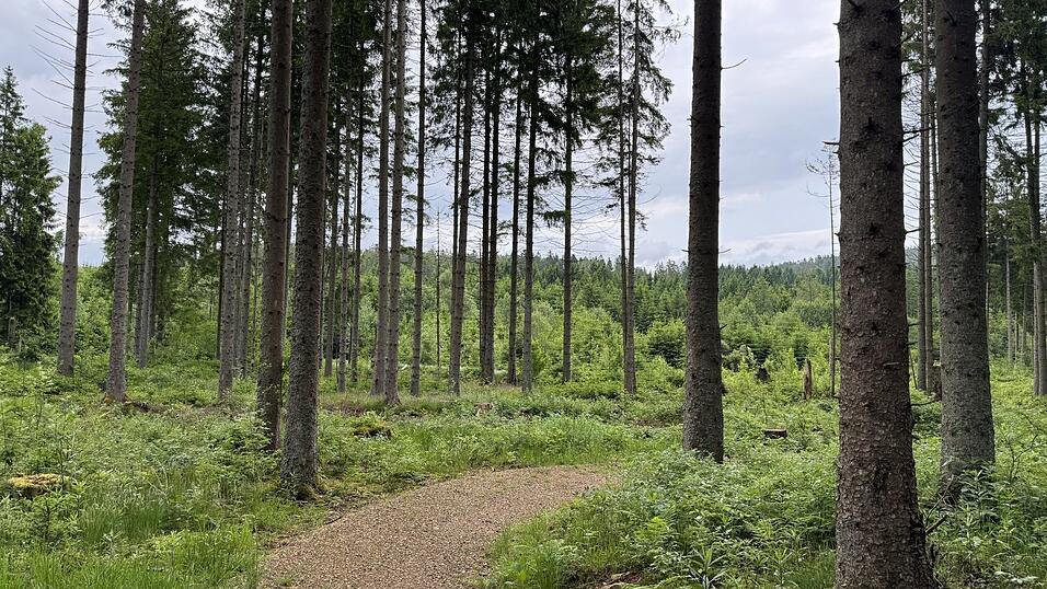 Durch eine herrliche Landschaft kann man hier radeln. Durch eine herrliche Landschaft kann man hier radeln.