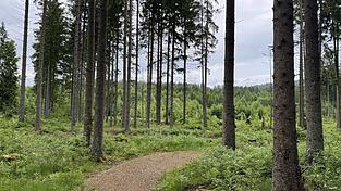 Durch eine herrliche Landschaft kann man hier radeln. Durch eine herrliche Landschaft kann man hier radeln.