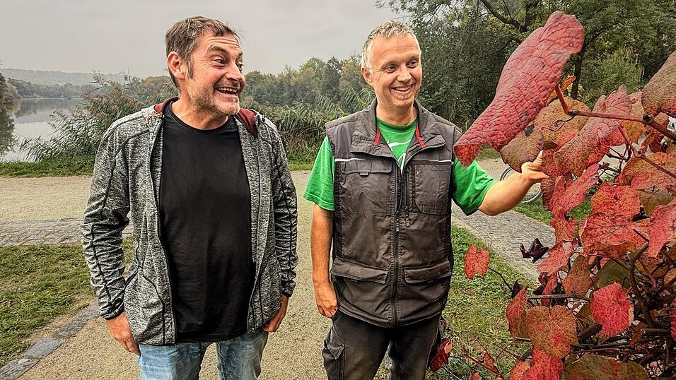 Anton K&ouml;stlmeier und Stefan Baumann bewundern den Indian Summer an der Pergola.