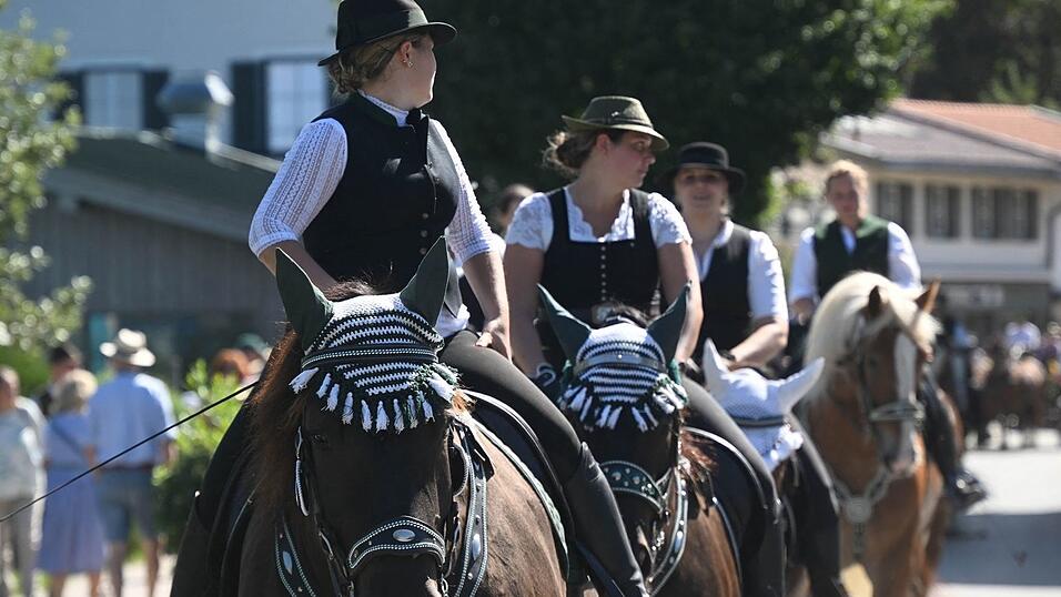 Der Rosstag findet traditionell am letzten Sonntag im August statt.