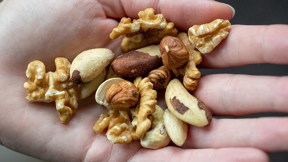 Kerne von Haselnuss, Paranuss, Walnuss, Mandel und Cashew liegen in einer Hand.