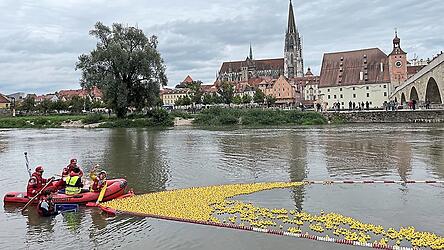 'Fanni Punktum' beim Ausz&auml;hlen der Enten.