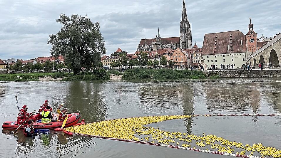 'Fanni Punktum' beim Auszählen der Enten. 'Fanni Punktum' beim Auszählen der Enten.