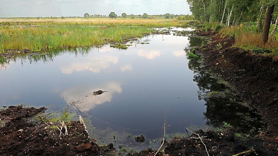 Ein intaktes Moor bindet klimasch&auml;dlichen Kohlenstoff und sch&uuml;tzt somit das Klima. (Archivbild)