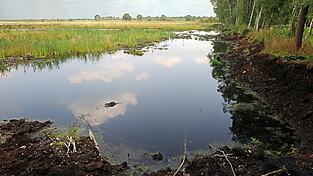 Ein intaktes Moor bindet klimasch&auml;dlichen Kohlenstoff und sch&uuml;tzt somit das Klima. (Archivbild)