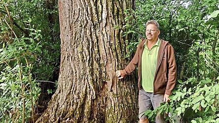 Der Autor zu F&uuml;&szlig;en des Baumgiganten.