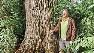 Der Autor zu Füßen des Baumgiganten. Der Autor zu Füßen des Baumgiganten.