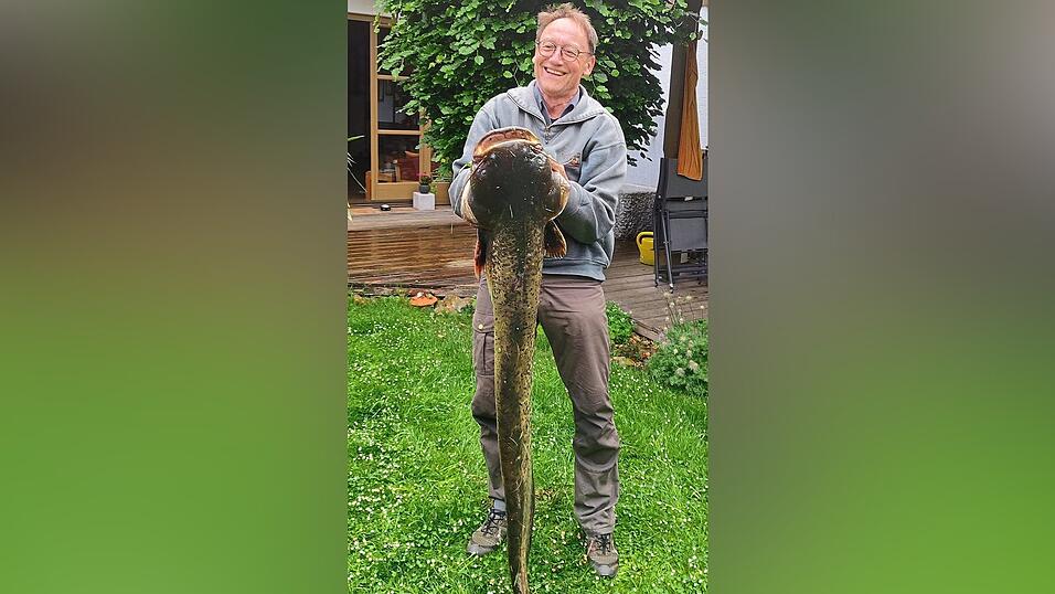 Der Auer B&uuml;rgermeister a. D. Hans Sailer mit seinem kapitalen Fang: ein knapp eineinhalb Meter langer und &uuml;ber 20 Kilogramm schwerer Waller, den er aus der Amper zog.