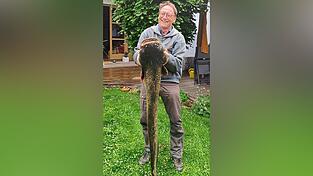Der Auer Bürgermeister a. D. Hans Sailer mit seinem kapitalen Fang: ein knapp eineinhalb Meter langer und über 20 Kilogramm schwerer Waller, den er aus der Amper zog. Der Auer Bürgermeister a. D. Hans Sailer mit seinem kapitalen Fang: ein knapp eineinhalb Meter langer und über 20 Kilogramm schwerer Waller, den er aus der Amper zog.