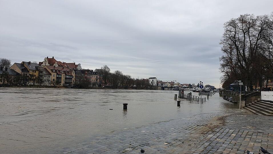 Die Donau in Regensburg am Freitagmittag. Aktuell gilt in der Stadt die Hochwasserwarnstufe 2. Die Donau in Regensburg am Freitagmittag. Aktuell gilt in der Stadt die Hochwasserwarnstufe 2.