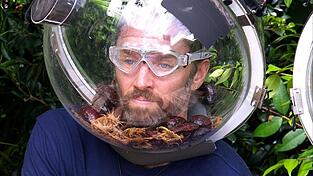 Auch das krabbeligste Getier konnte ihn nicht stoppen: Musiker Gil Ofarim ist Dschungelk&ouml;nig. (Handout)