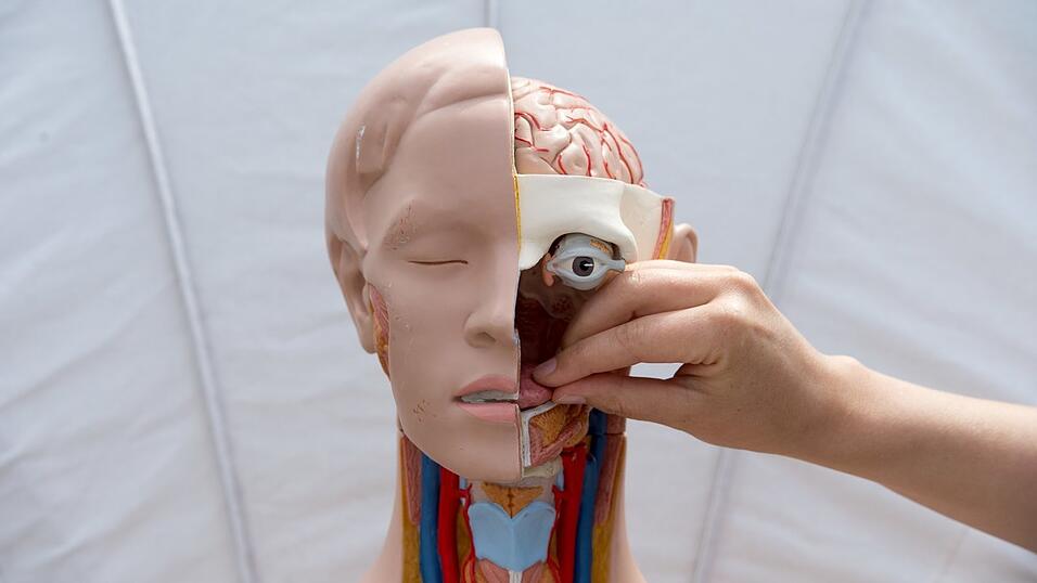 Schon bald soll es auch in Niederbayern m&ouml;glich sein, Medizin zu studieren.