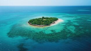 Kein Mensch ist eine Insel. Aber muss man fürs große Glück unbedingt einen Partner haben? 