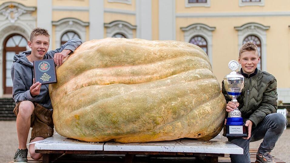 Jakob (l) und David Frommelt hocken als Gewinner neben ihrem 796Kg schweren Kürbis. Jakob (l) und David Frommelt hocken als Gewinner neben ihrem 796Kg schweren Kürbis.