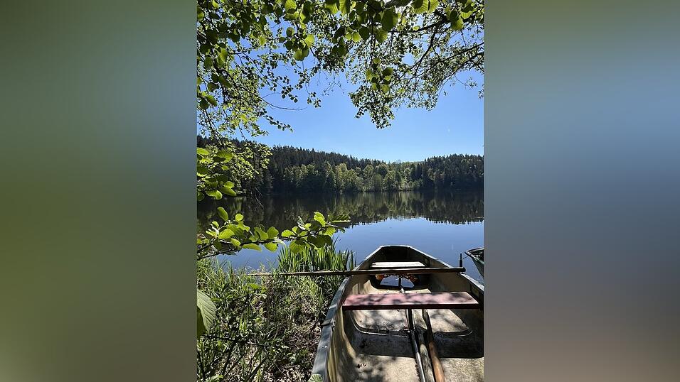 Am Höllensteinsee kann man wandern und schöne Fotos machen. Am Höllensteinsee kann man wandern und schöne Fotos machen.