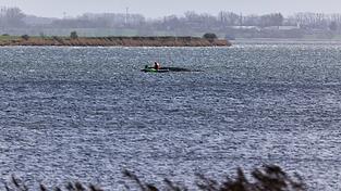 Jetzt soll auch die Wasserqualit&auml;t beim gestrandeten Wal gepr&uuml;ft werden.