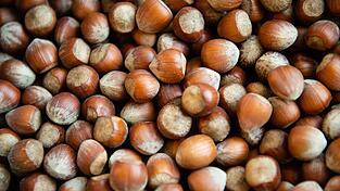 Die Haselsnussernte ist in Italien so schlecht ausgefallen wie seit Jahrzehnten nicht mehr. (Archivbild) Die Haselsnussernte ist in Italien so schlecht ausgefallen wie seit Jahrzehnten nicht mehr. (Archivbild)