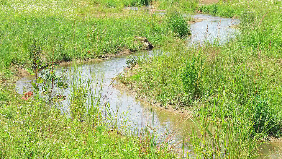 Kleine Gew&auml;sser sind von gro&szlig;em Wert f&uuml;r die Umwelt.