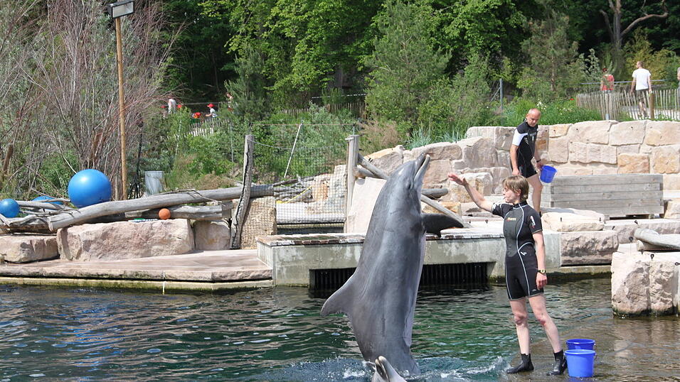 So gro&szlig; bin ich - der Gro&szlig;e T&uuml;mmler reckt sich weit aus dem Wasser.