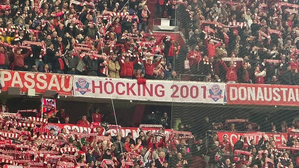 Der Fanclub pr&auml;sentiert sich mit einem eigenen Banner in der Allianz-Arena.