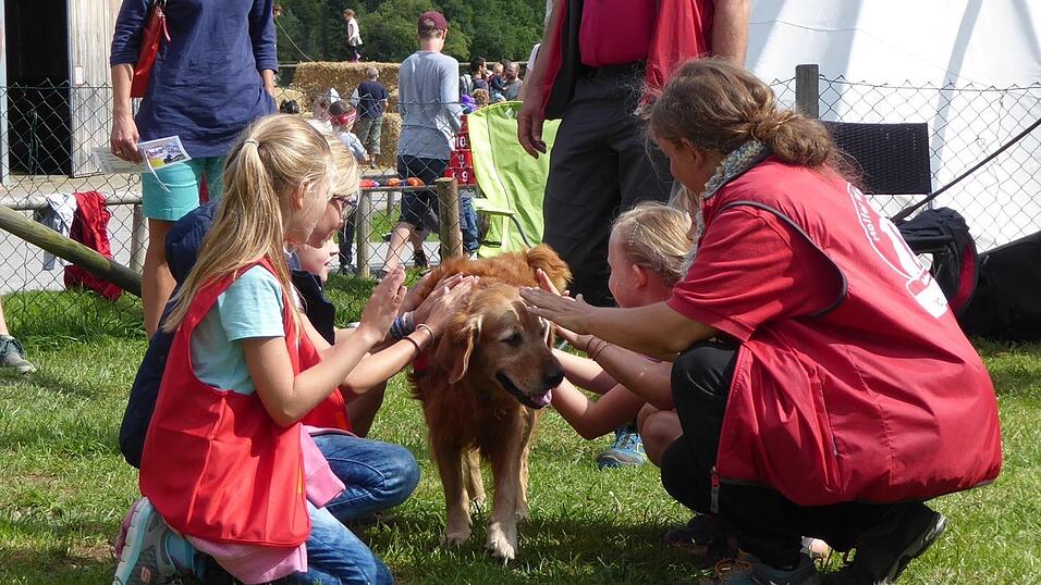 Golden Retriever lernen schnell und gelten als Menschenfreunde. Golden Retriever lernen schnell und gelten als Menschenfreunde.