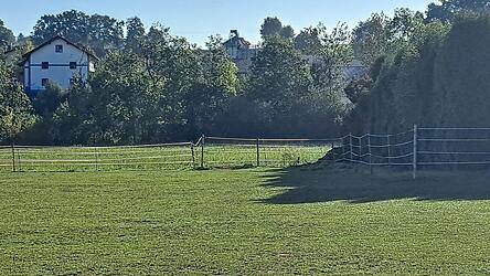 Rund 25 Kubikmeter Mist lagerten auf der abgetrennten Fl&auml;che (rechter Bereich) hinter der Pferdekoppel. Nun ist fast nichts mehr da.