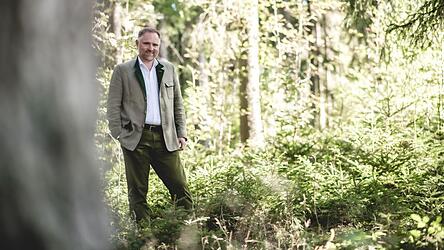 CSU-Direktkandidat Peter Aumer in einem Wald im Regental, seiner Heimat.