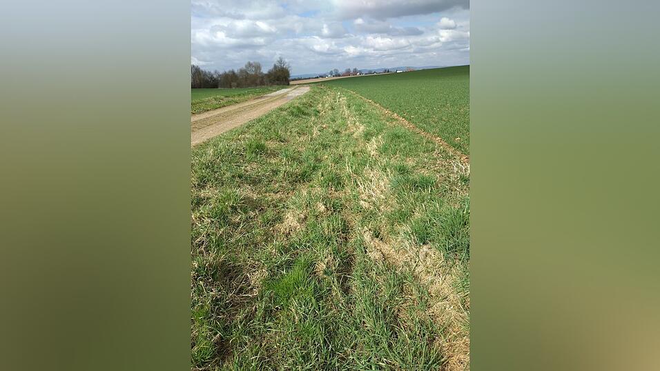 Der angelegte Graben in der Mitte des Bildes ist als &bdquo;Gew&auml;sser&ldquo; kartiert worden &ndash; obwohl er kein Wasser f&uuml;hrt. Die im Artikel erw&auml;hnte Hanglage verpflichtet laut Haberl in diesem Fall nicht zu einem Randstreifen. Daher bef&uuml;rchtet der Landwirt eine Art &bdquo;willk&uuml;rliche Kartierung von Gew&auml;ssern&ldquo;.