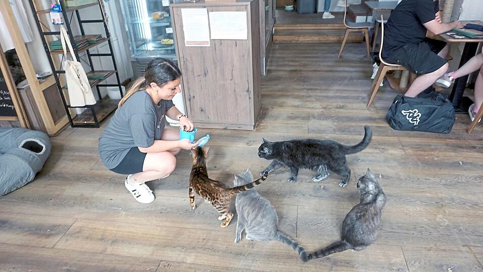 Aufruf zur Leckerlirunde